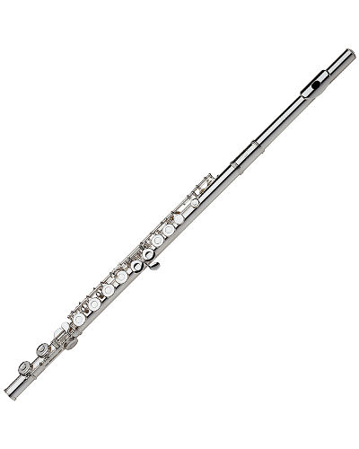 Band Instrument Flute Rental Special $9.90/Month