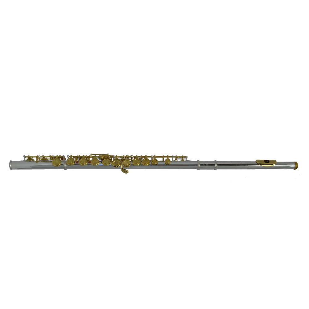 Schiller 200 Series Flute - Silver Plated with Gold Keys