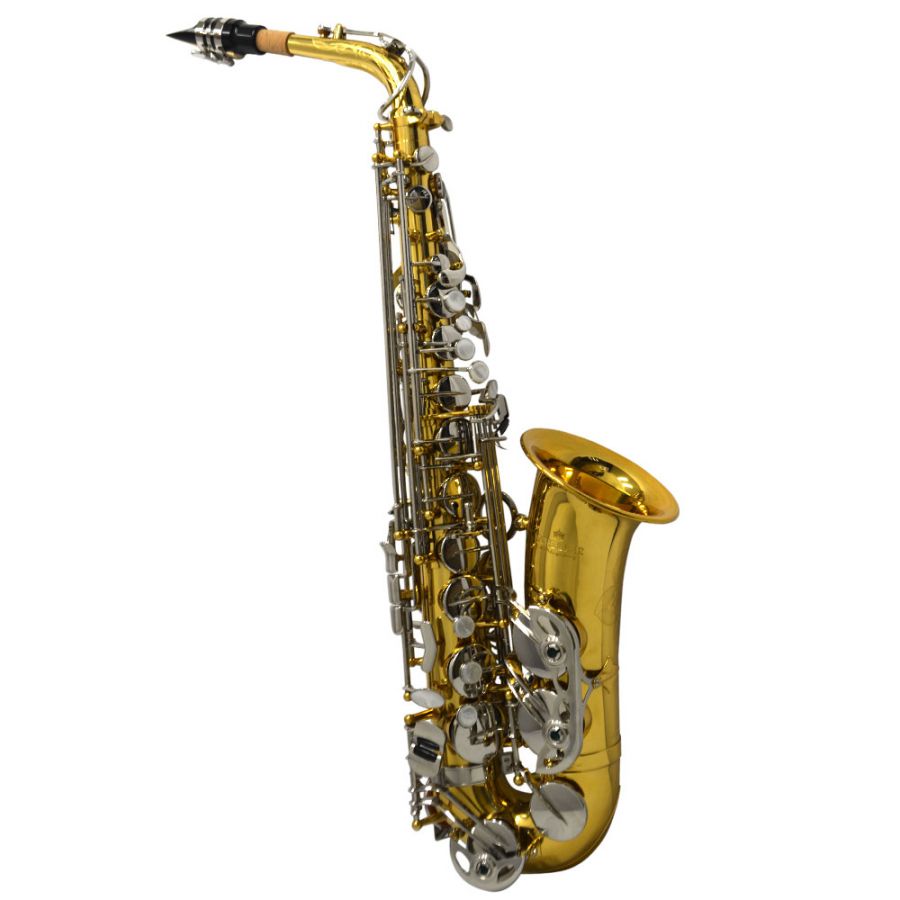 BAND INSTRUMENT SAXOPHONE RENTAL SPECIAL $18.80 MONTH/ 10 MONTHS