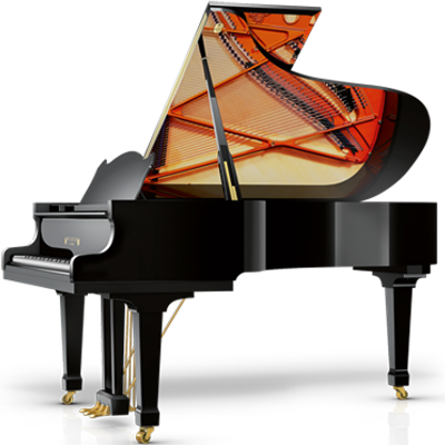 Schimmel Wilhelm W206 Tradition Grand Piano