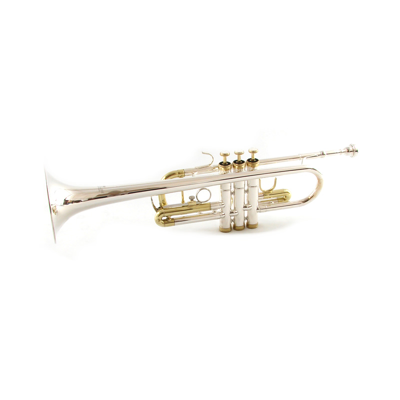 Schiller Model C Silver with Gold Trumpet