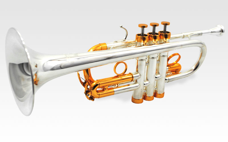 Schiller CenterTone D/Eb Trumpet - Silver & Gold