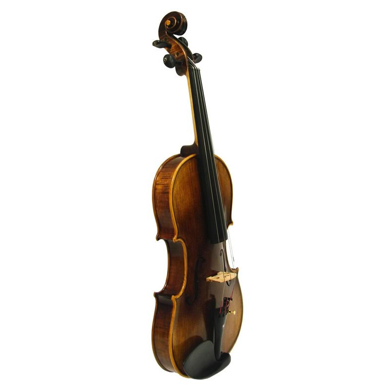Vienna Strings Hamburg Viola