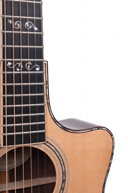 Larrivée LSV-10 Custom Acoustic Guitar