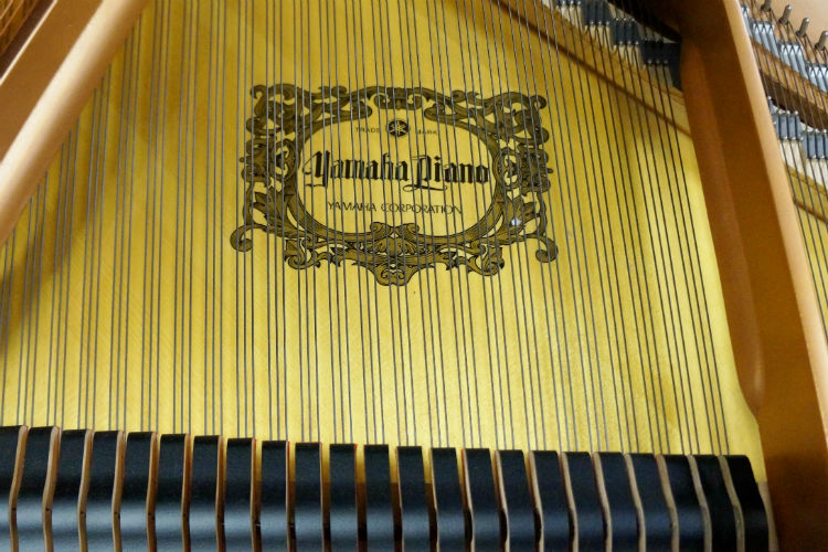 Yamaha C3 Grand Piano 2005
