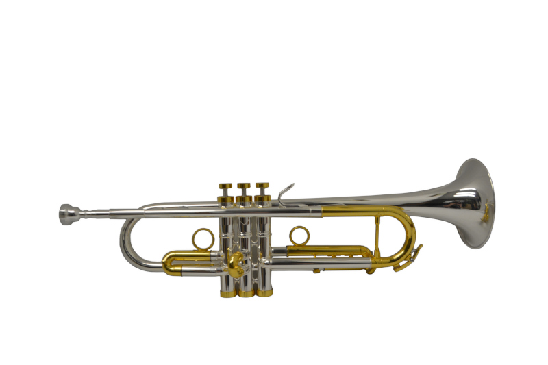Schiller American Heritage 79 Trumpet Silver/Gold