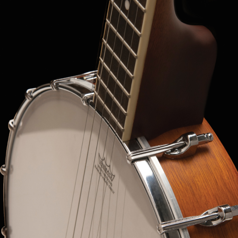 Washburn Americana Series B7-A 5-string Open Back Banjo