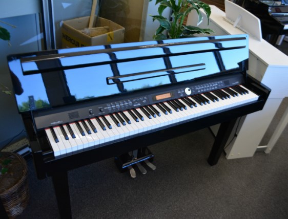 Medeli Grand 300 Digital Piano