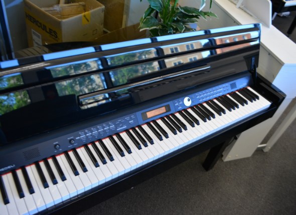 Medeli Grand 300 Digital Piano