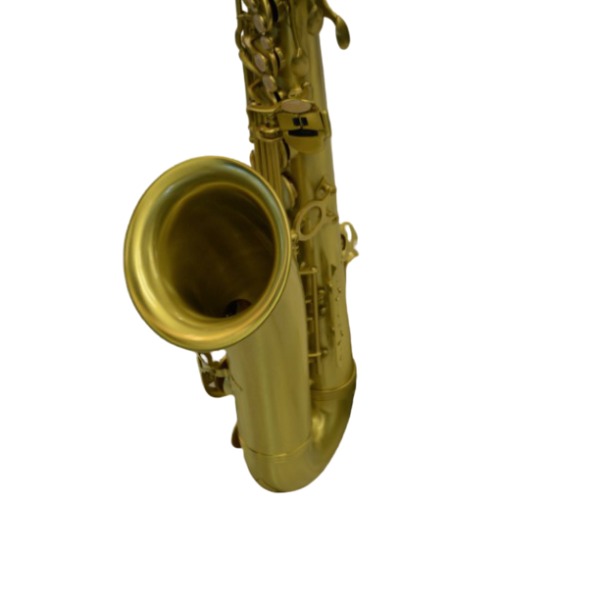 Schiller American Heritage 400 Tenor Saxophone Brushed Brass