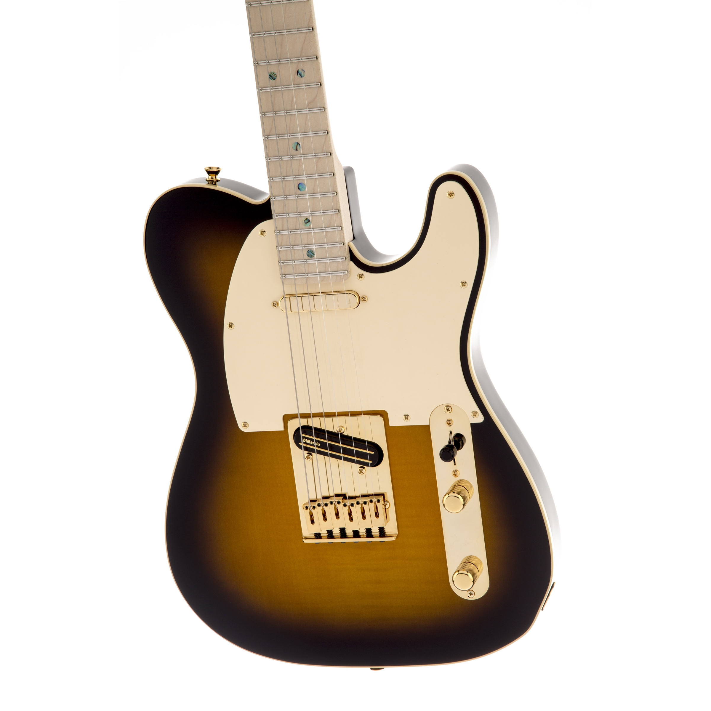 Fender Richie Kotzen Telecaster®, Maple Fingerboard, Brown Sunburst