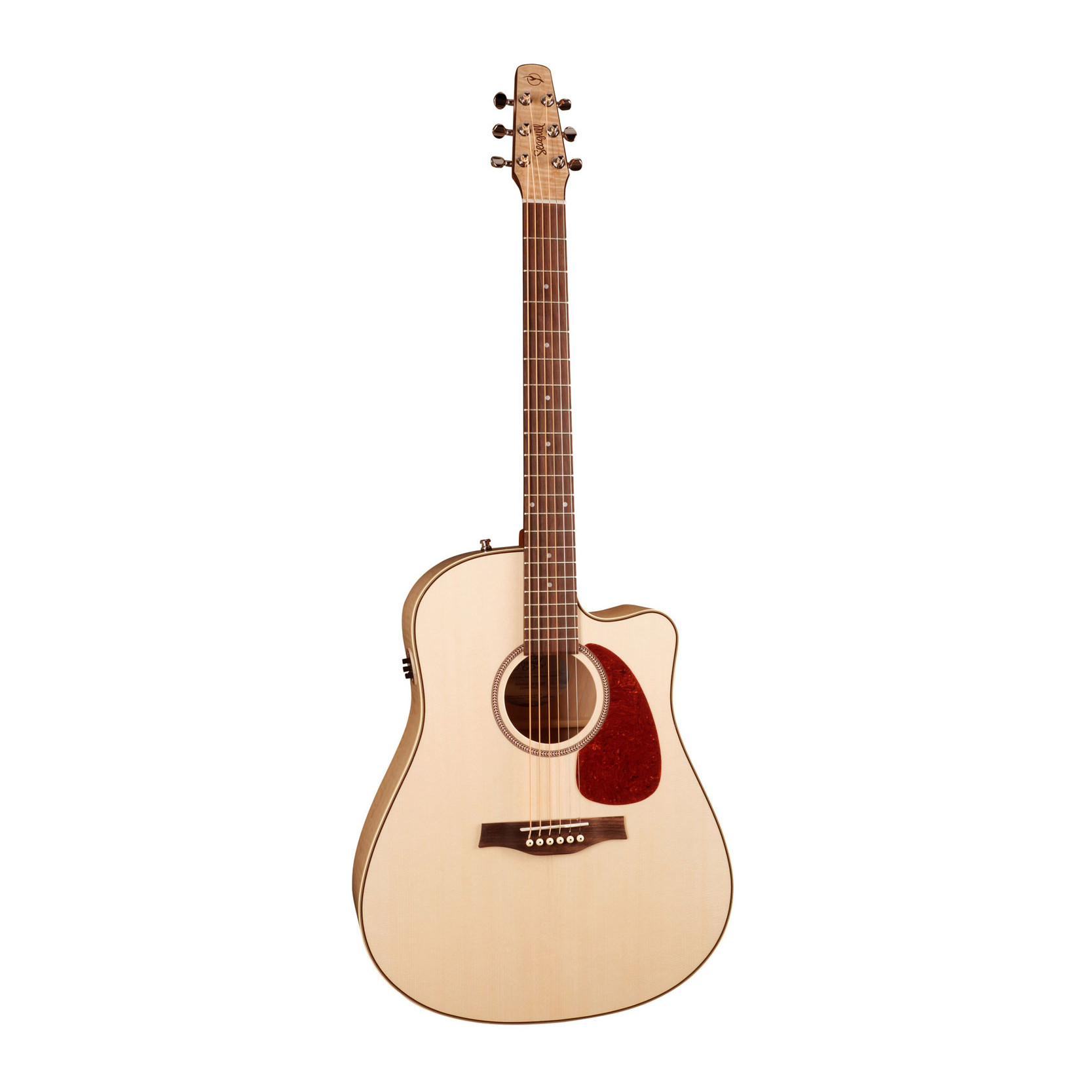 Seagull Performer CW Flame Maple QIT