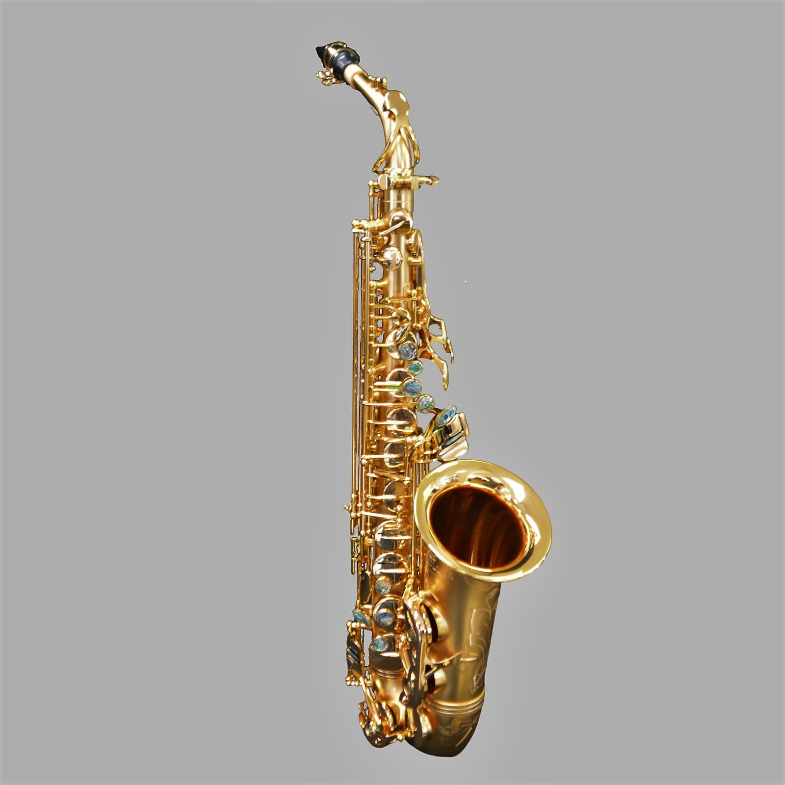 Schiller Elite V Alto Saxophone Satin Gold/Gold Big Bell
