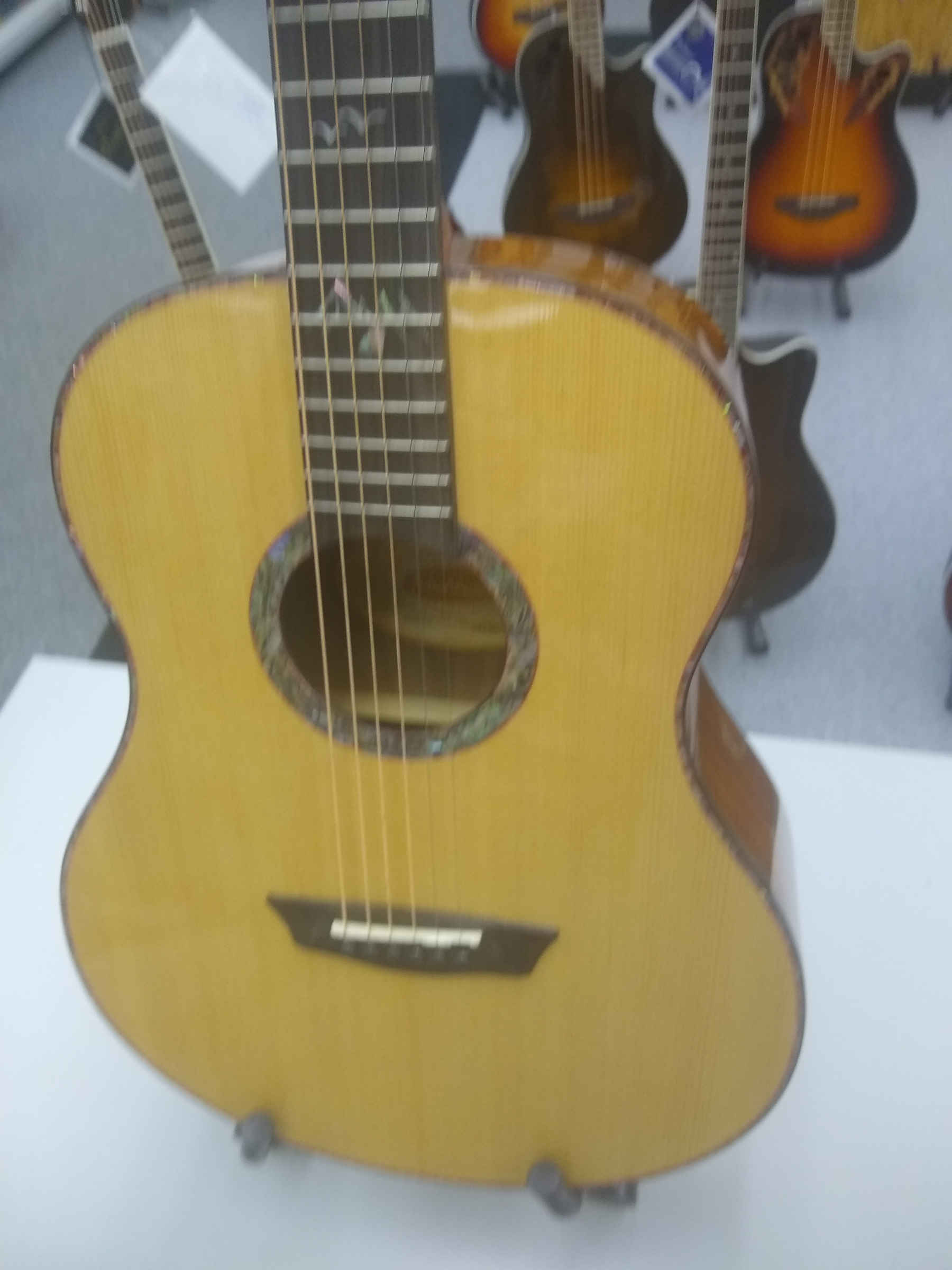 Washburn Bella Tono Parlor Guitar