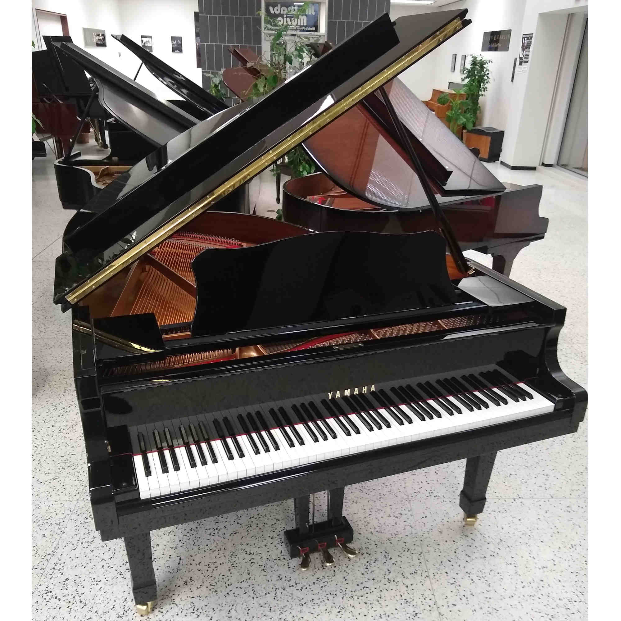 Absurd make it flat forgiven Yamaha C2 Grand Piano 5'8 Black Polish - Jim Laabs Music Store