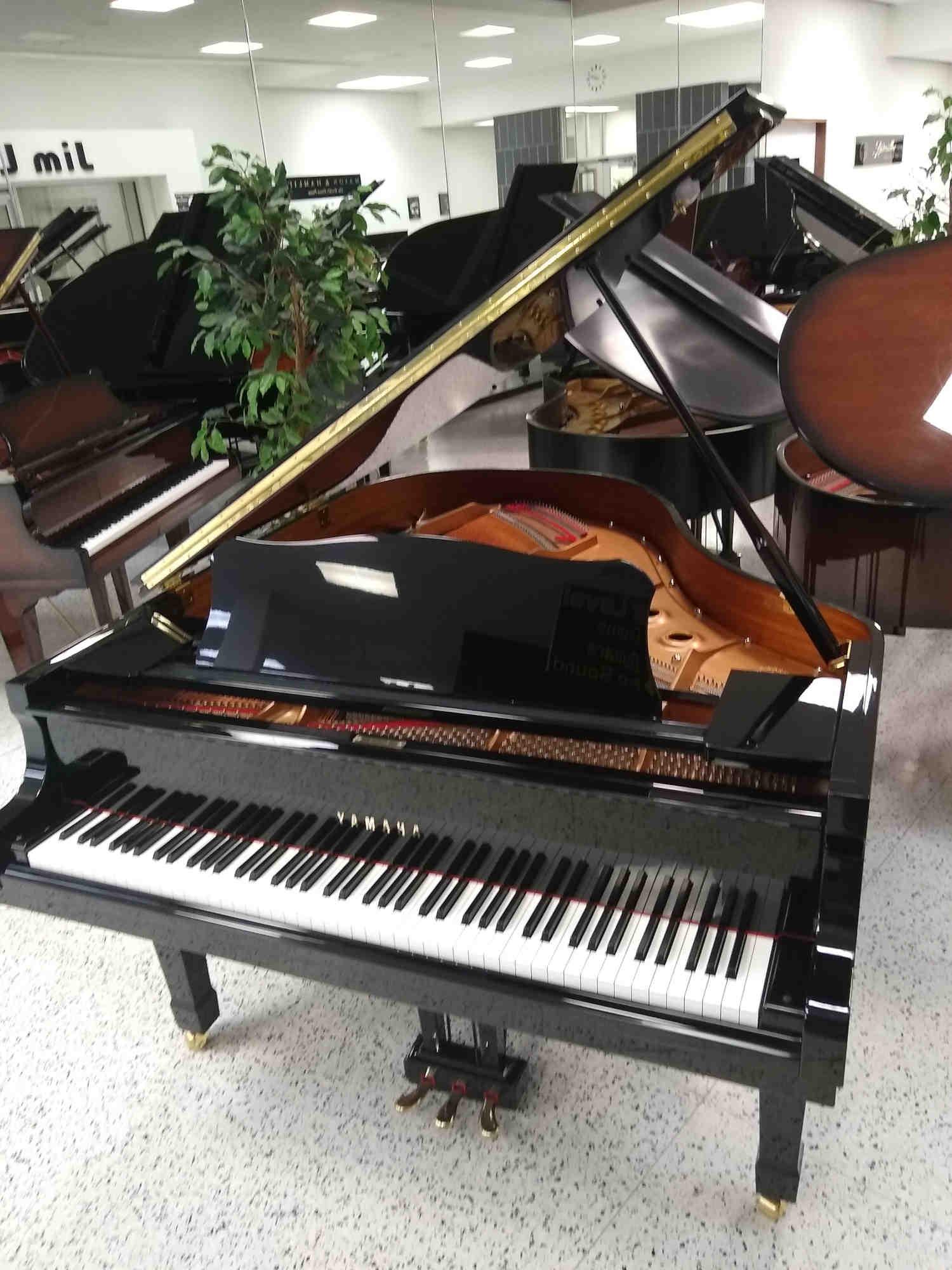 Yamaha C2 Grand Piano 5'8 Black Polish