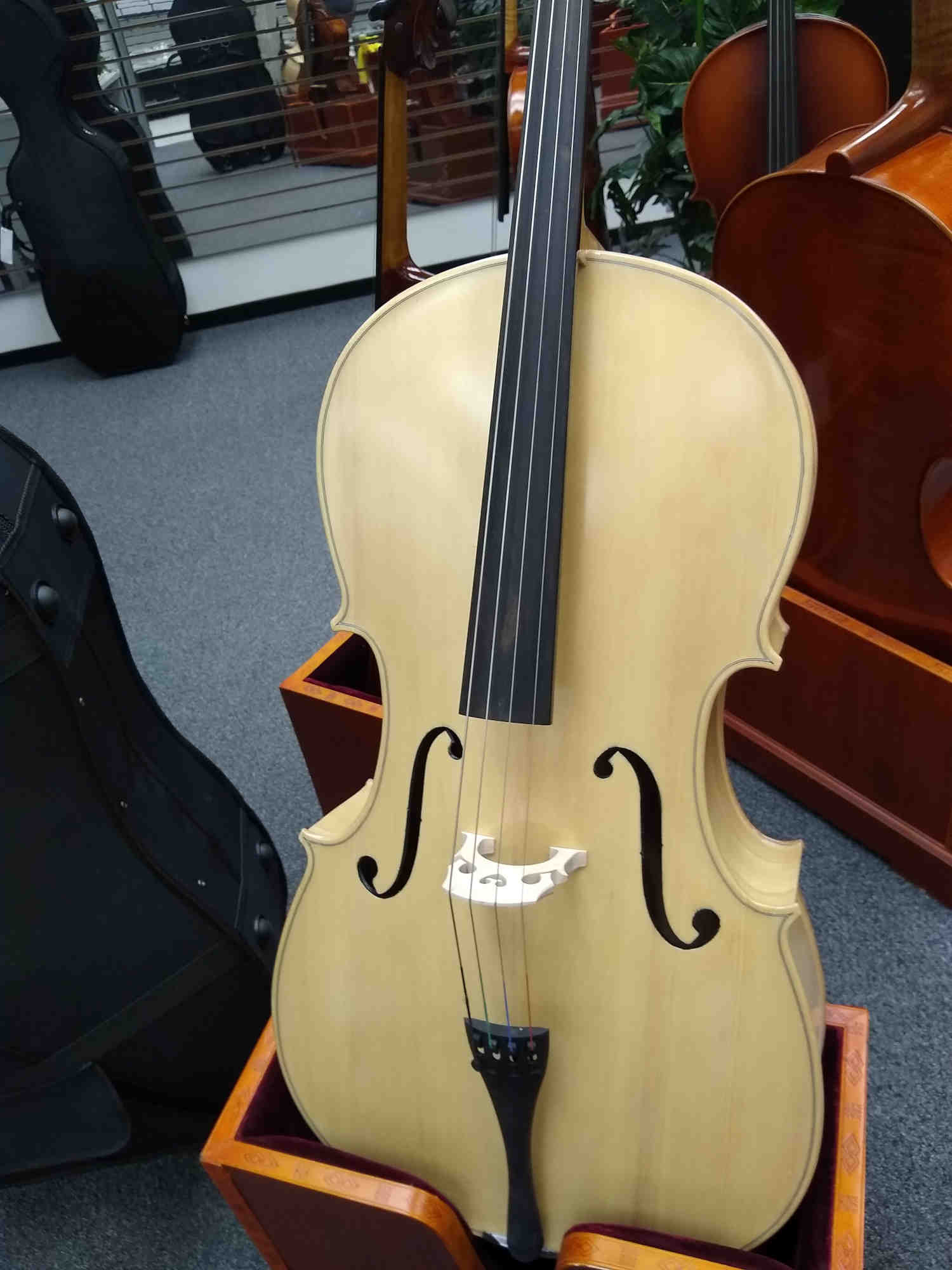 Vienna Strings Hamburg Cello Blonde New for 2021
