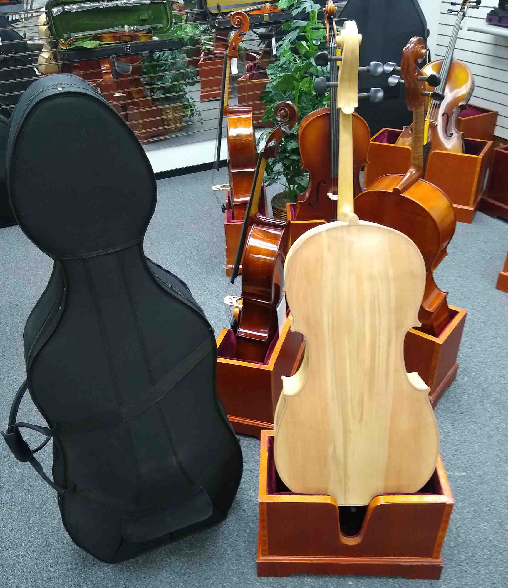 Vienna Strings Hamburg Cello Blonde New for 2021