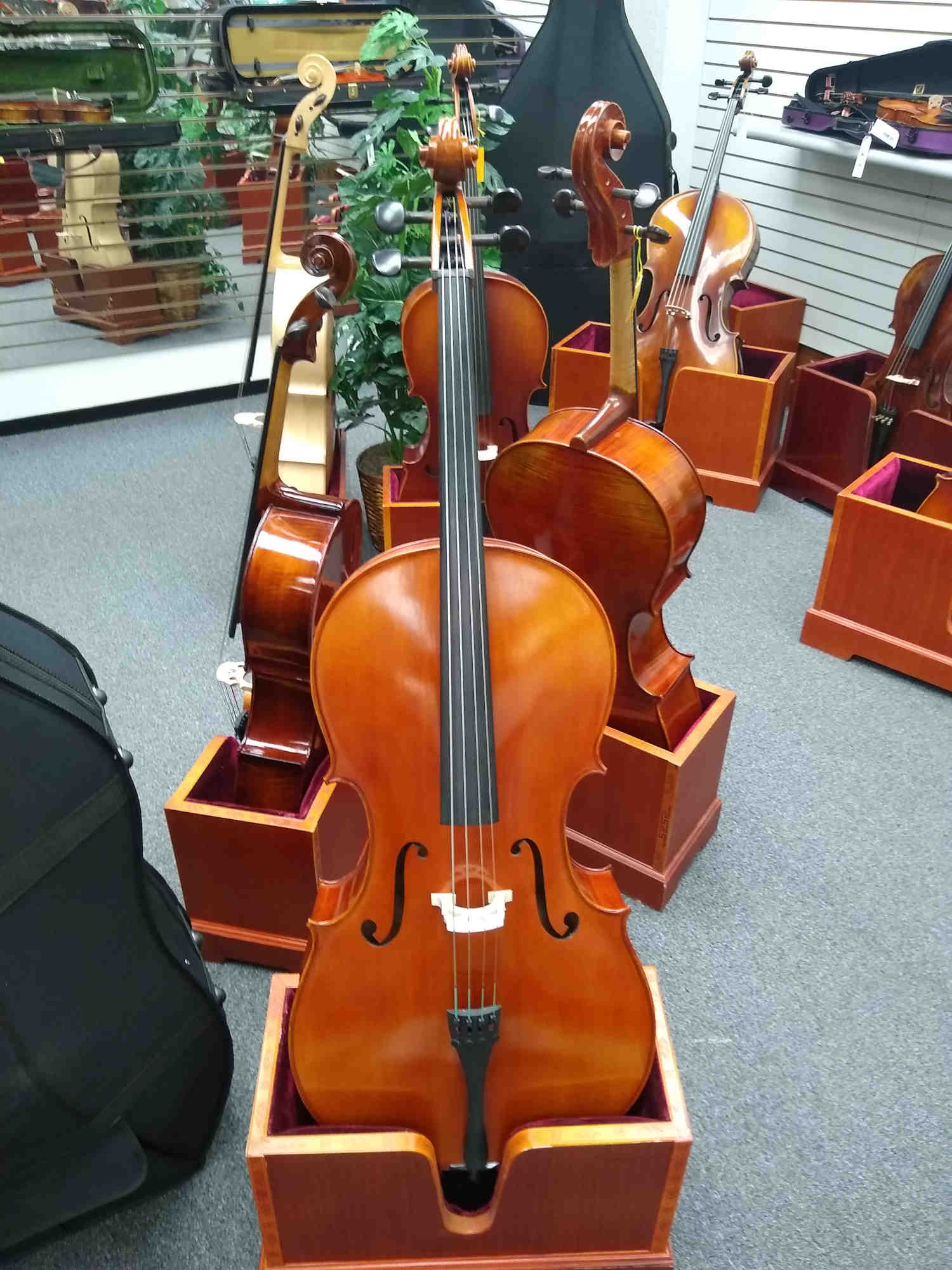 Vienna Strings Hamburg Handcraft Cello Hand Rubbed Finish Cherry
