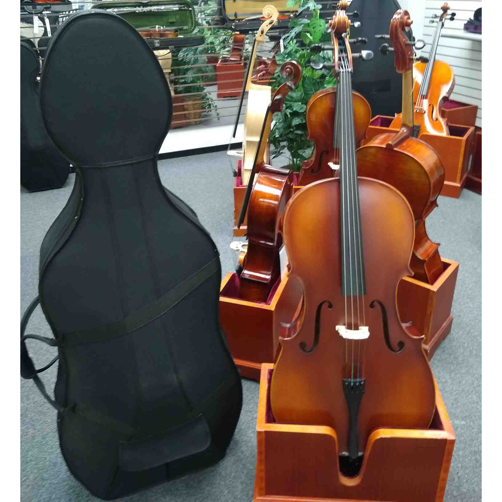 Vienna Strings Munich Cello 4/4 New For 2021
