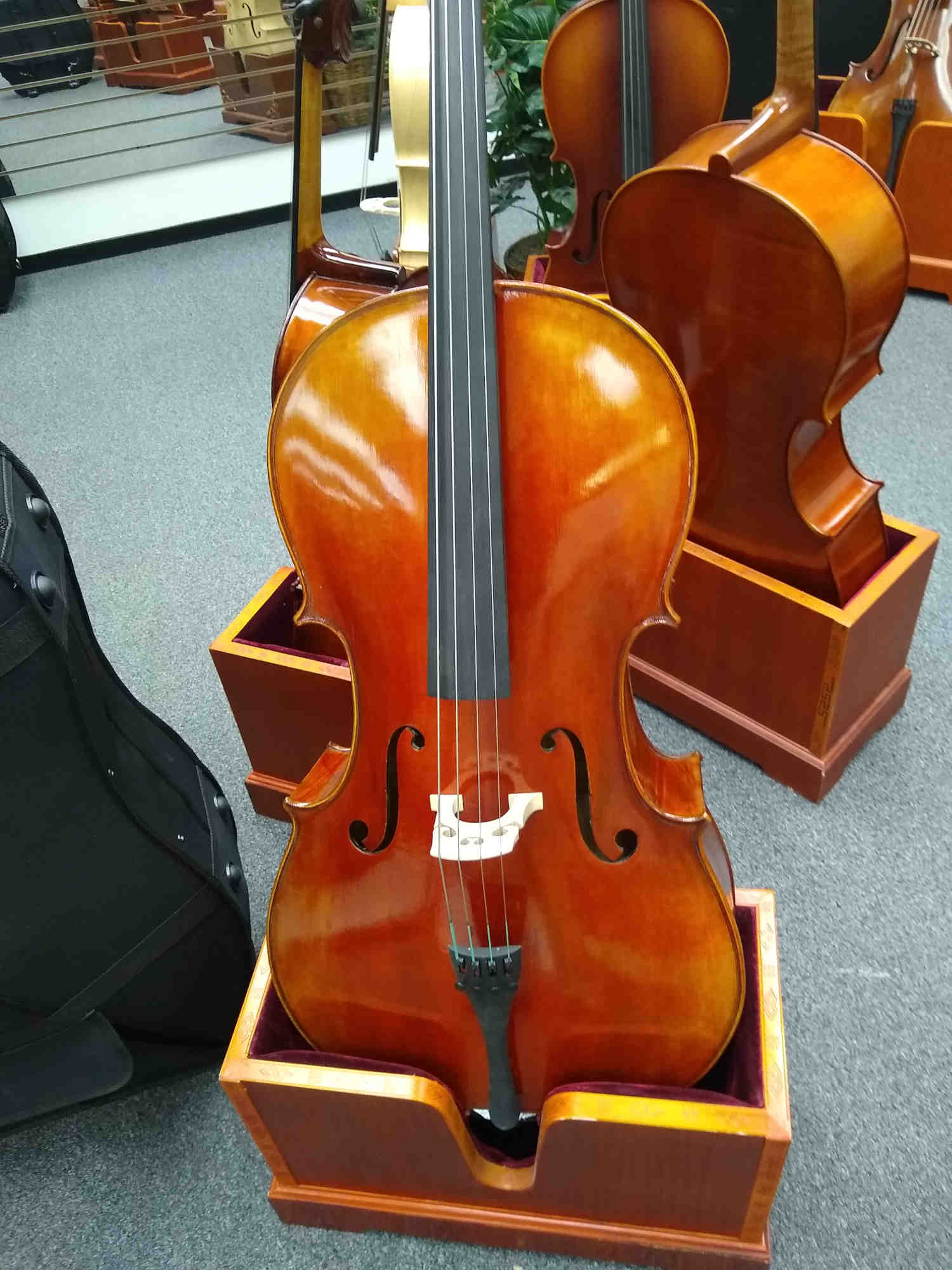 Vienna Strings Old Berlin 4/4 Cello New For 2021