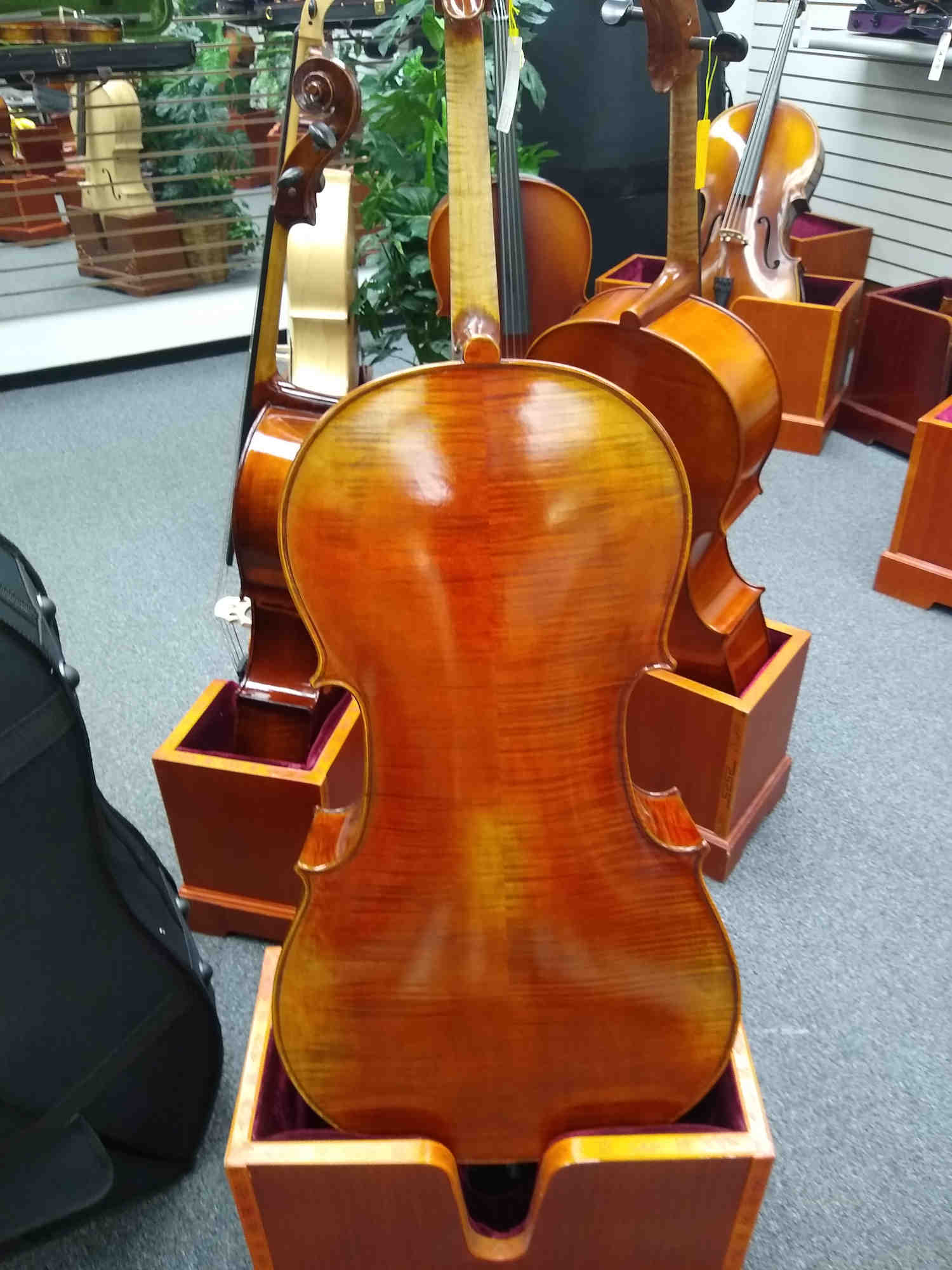 Vienna Strings Old Berlin 4/4 Cello New For 2021