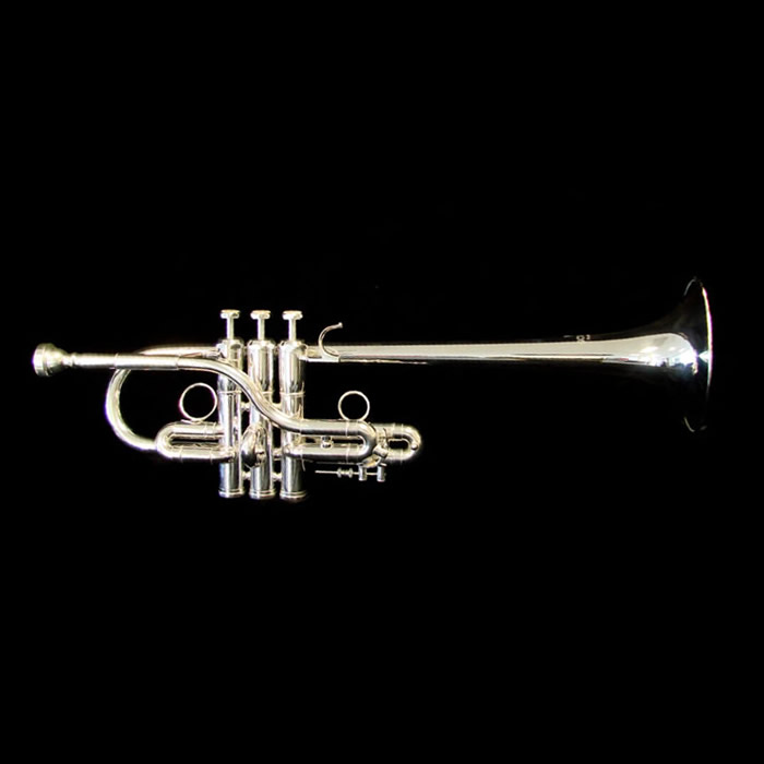 Schiller American Heritage Model Eb/D Trumpet