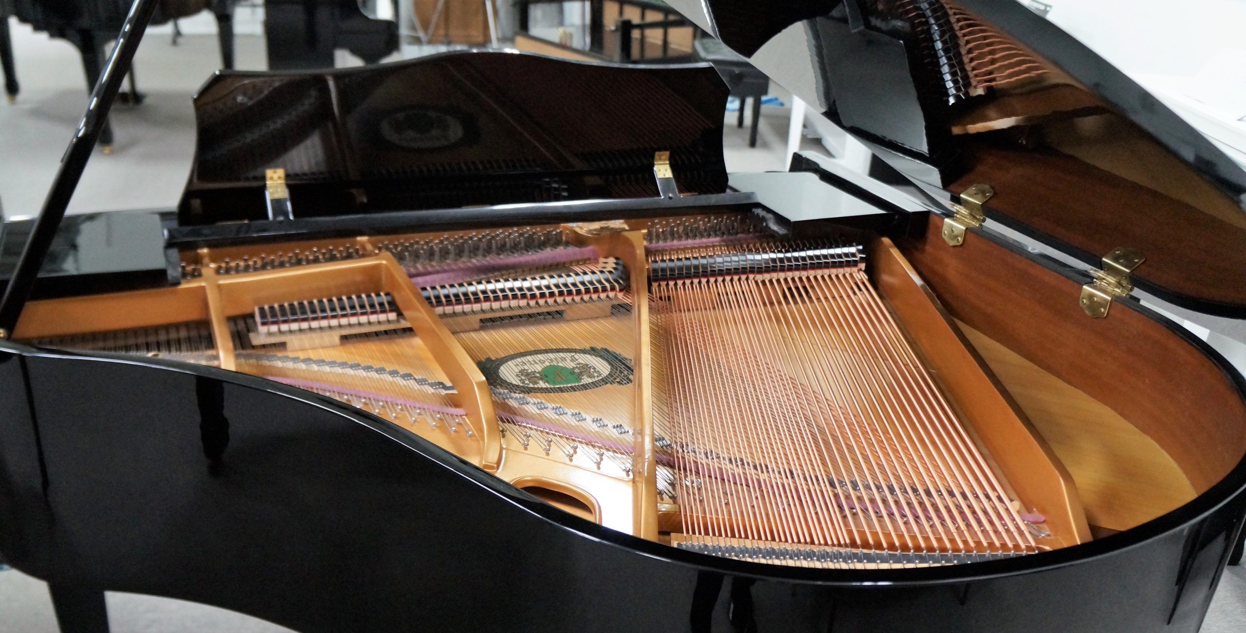 Falcone Grand Piano Black Polish