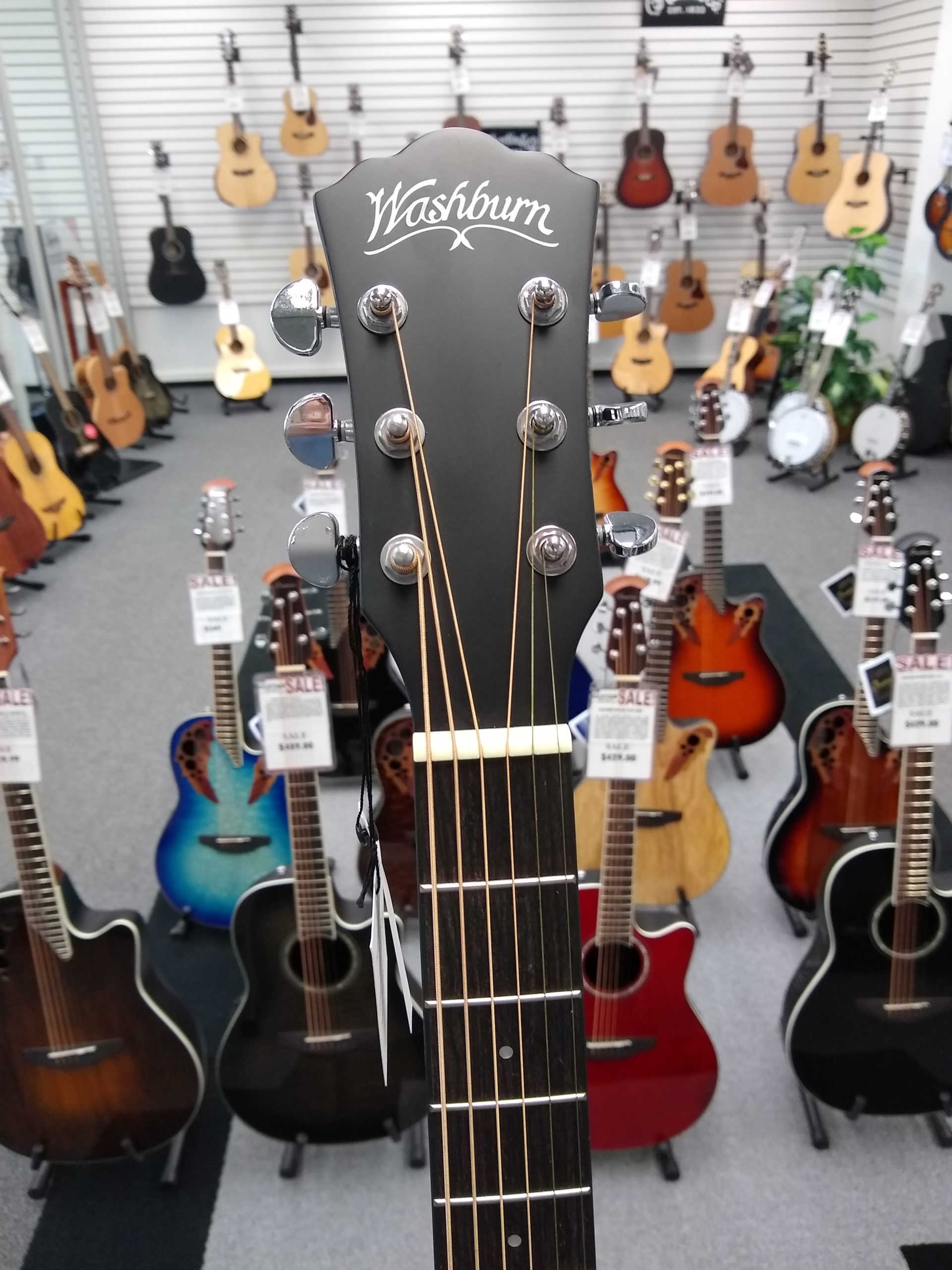 Washburn Deep Forest Ebony Dreadnaught Acoustic Guitar
