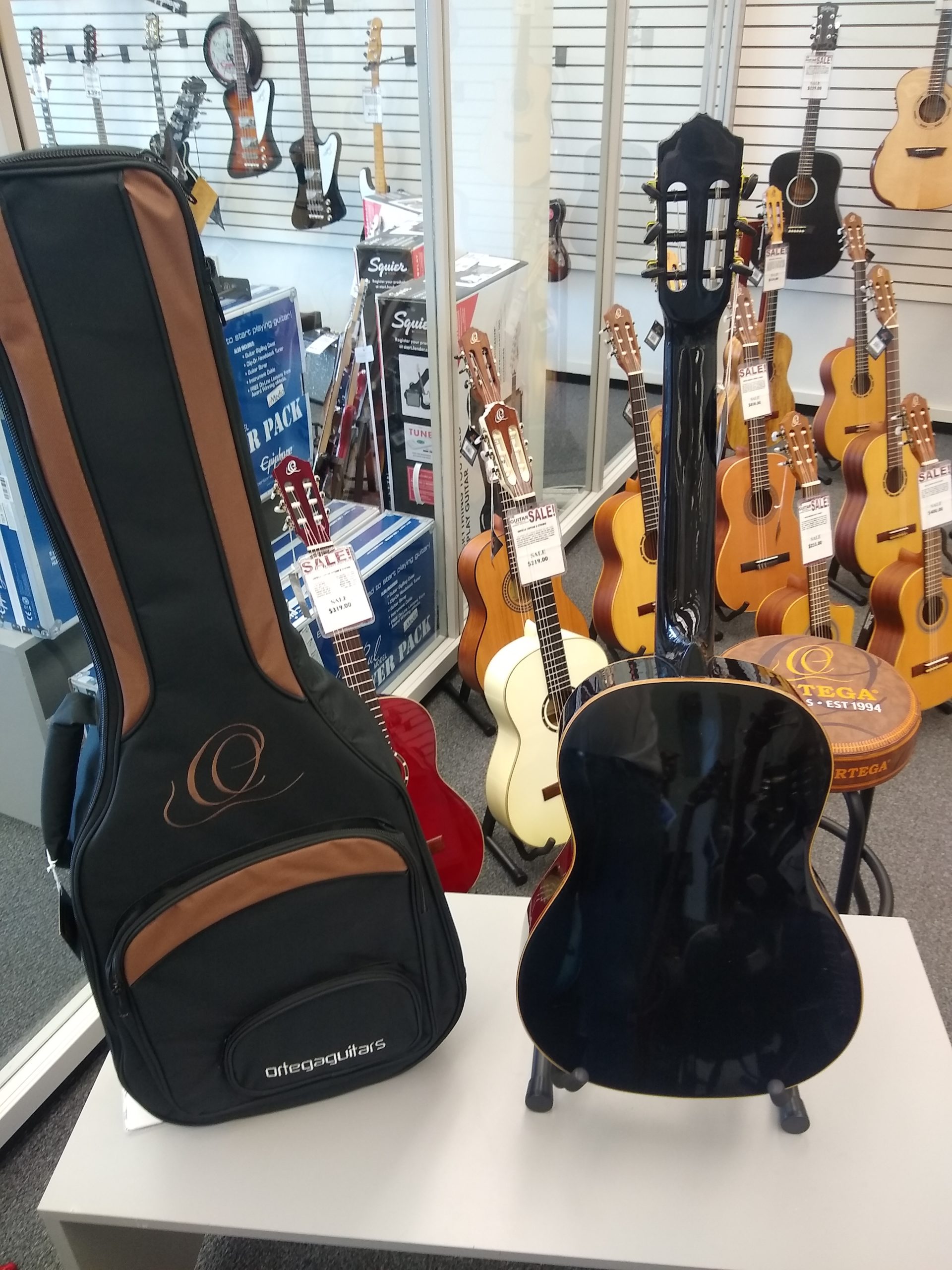 Ortega Family Series Full-Size Guitar Black - R221BK