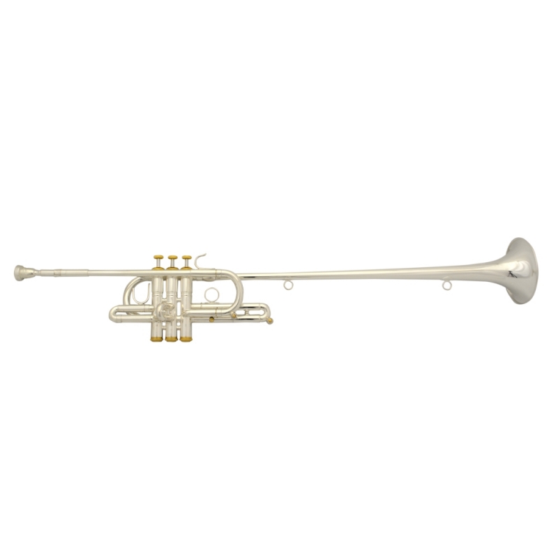 Schiller Elite Herald Trumpet Silver & Gold Plated