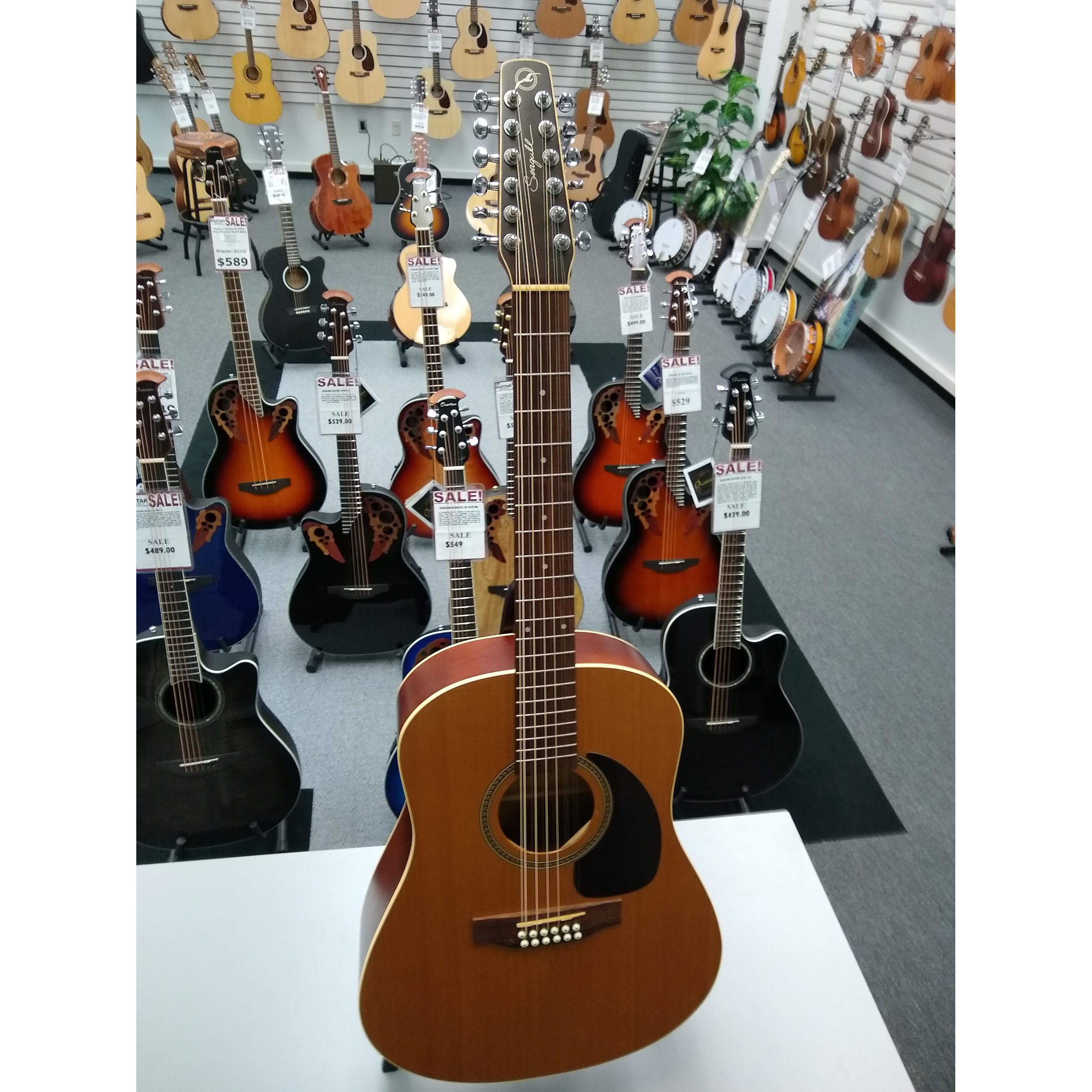 Seagull 12 String Guitar S12