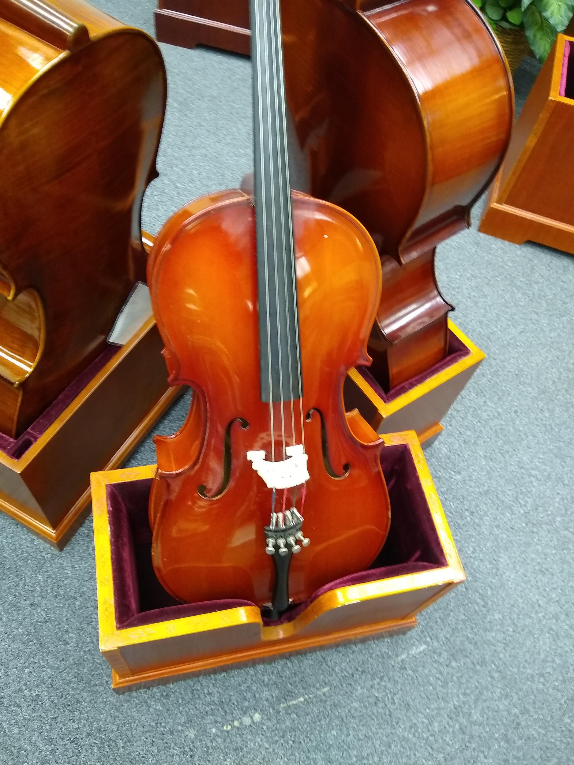 Vienna Strings 1/2 Cello