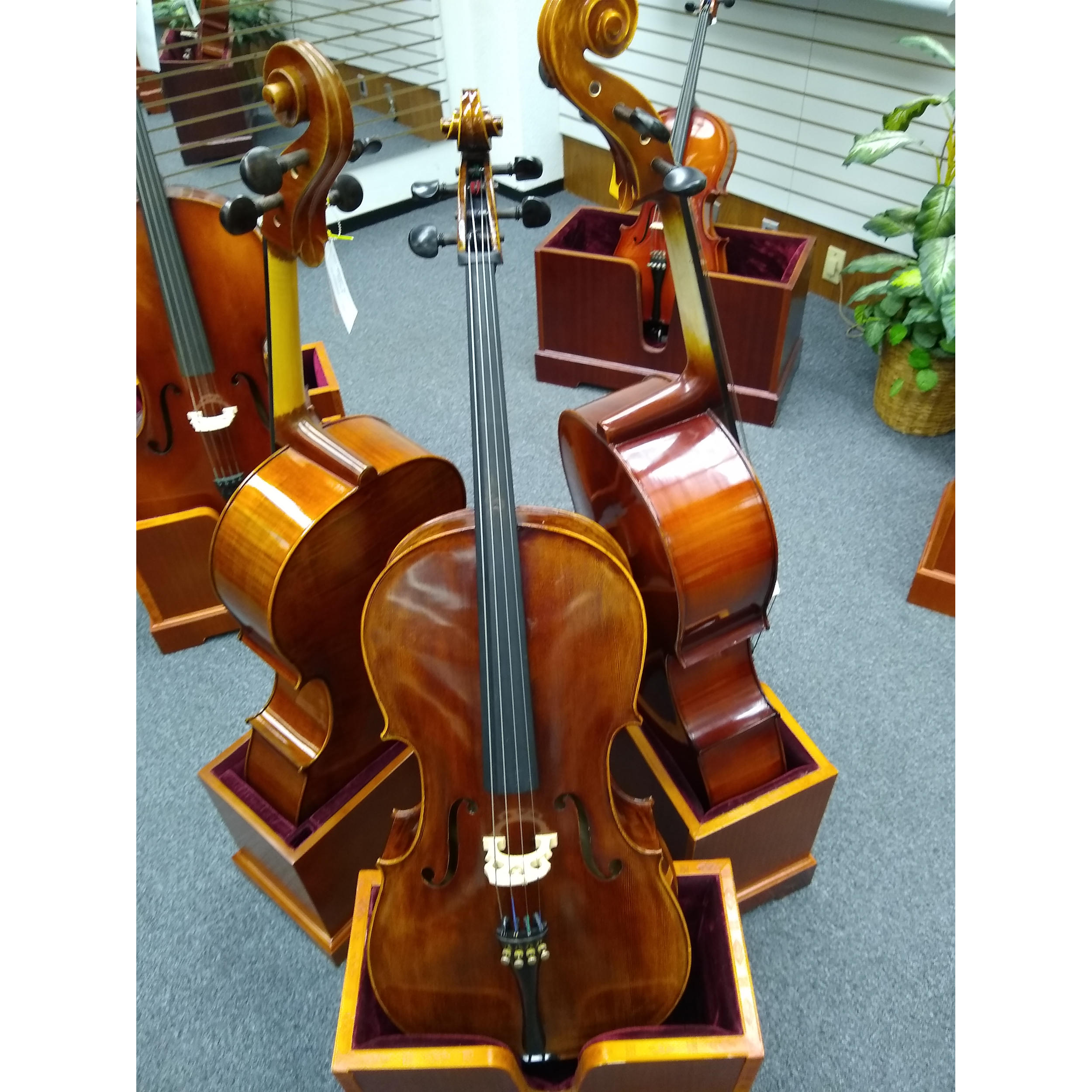 Vienna Strings Hamburg 3/4 Cello