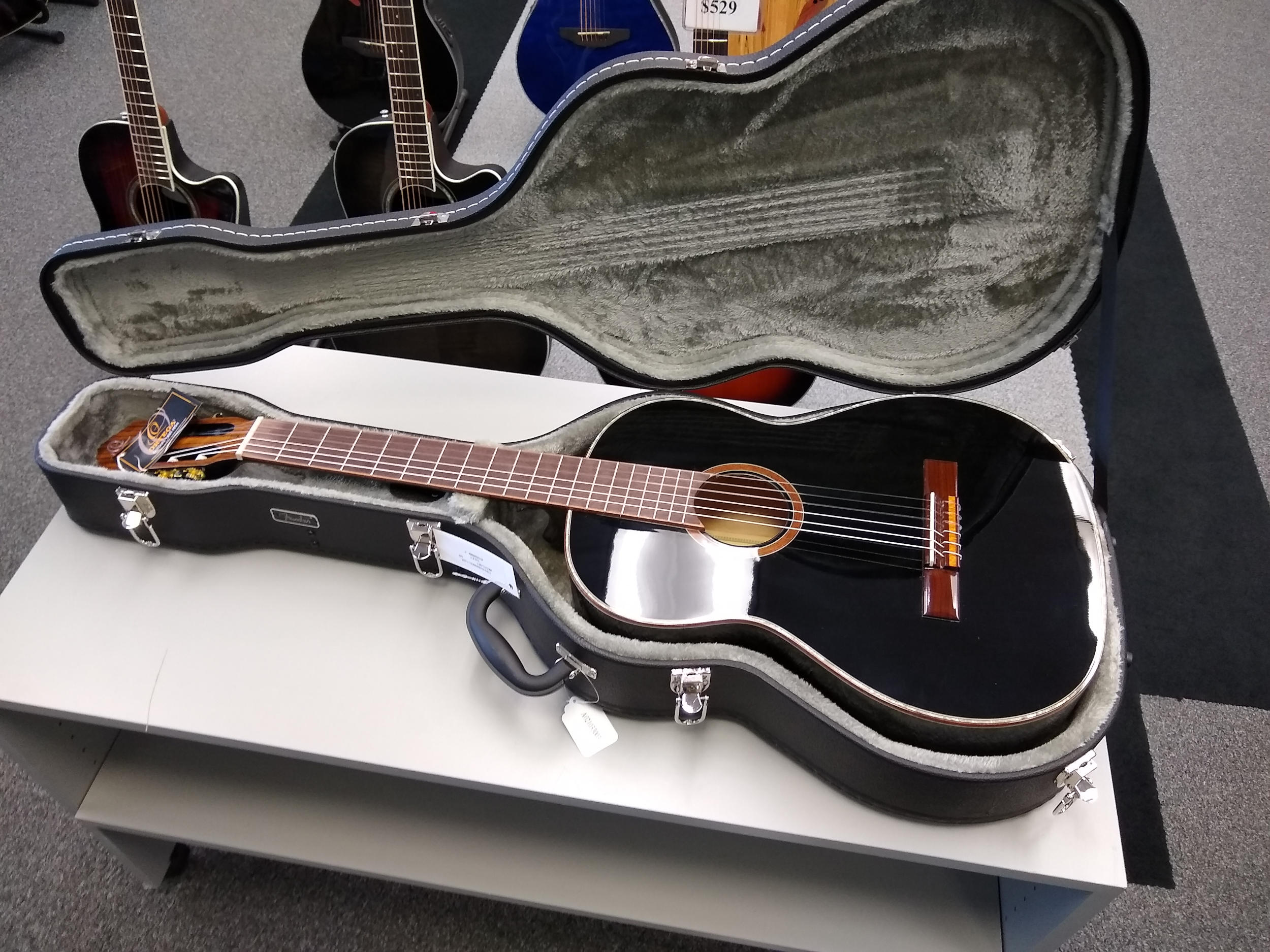 Fender Classical Guitar Case