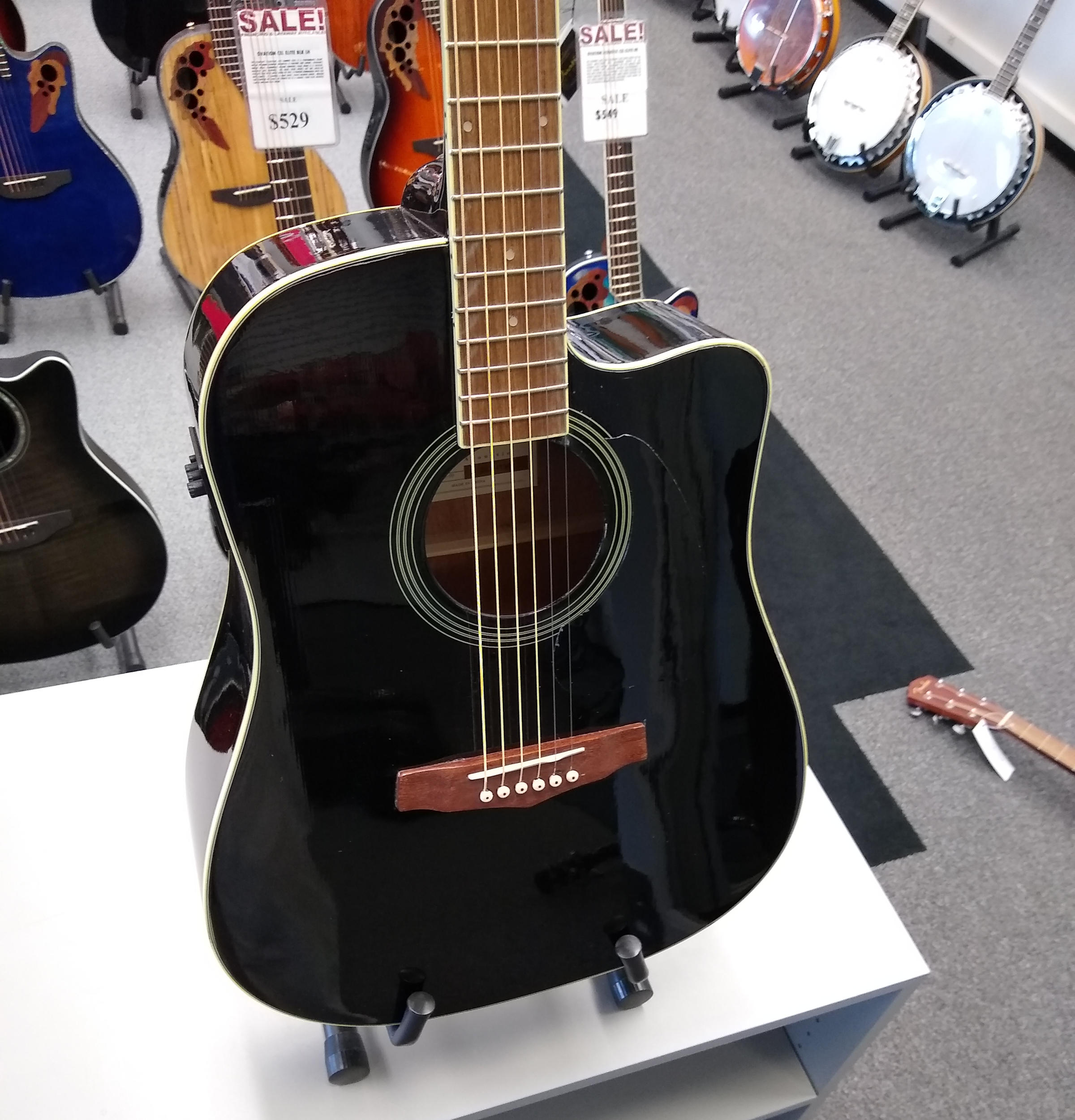Ibanez Acoustic Electric Guitar