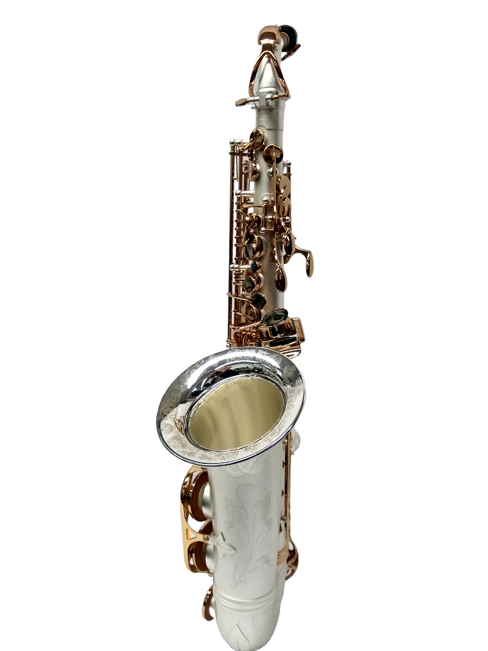 Schiller Elite V Alto Saxophone Satin Silver/Gold Keys Big Bell