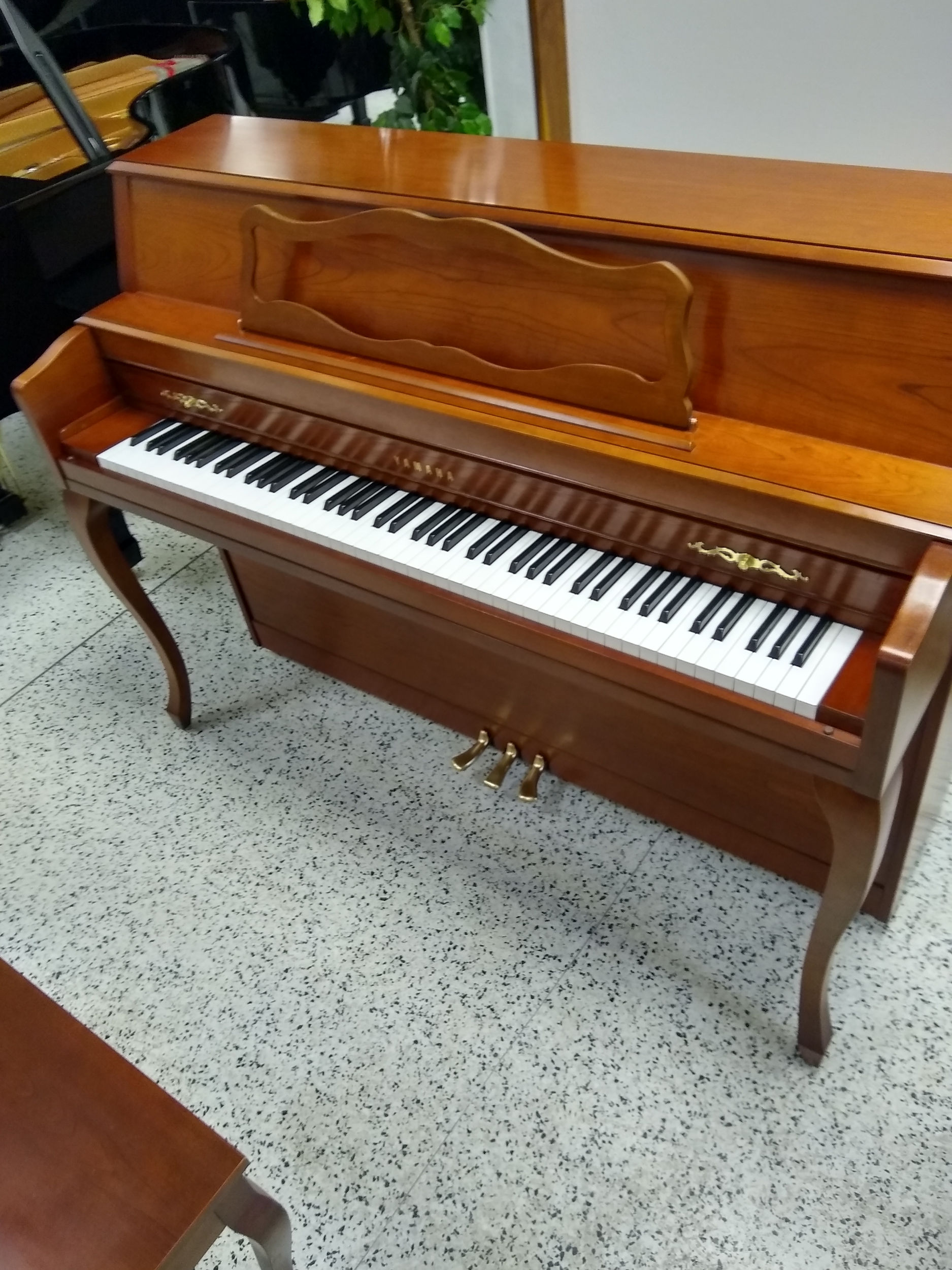 Yamaha Professional Designer Piano