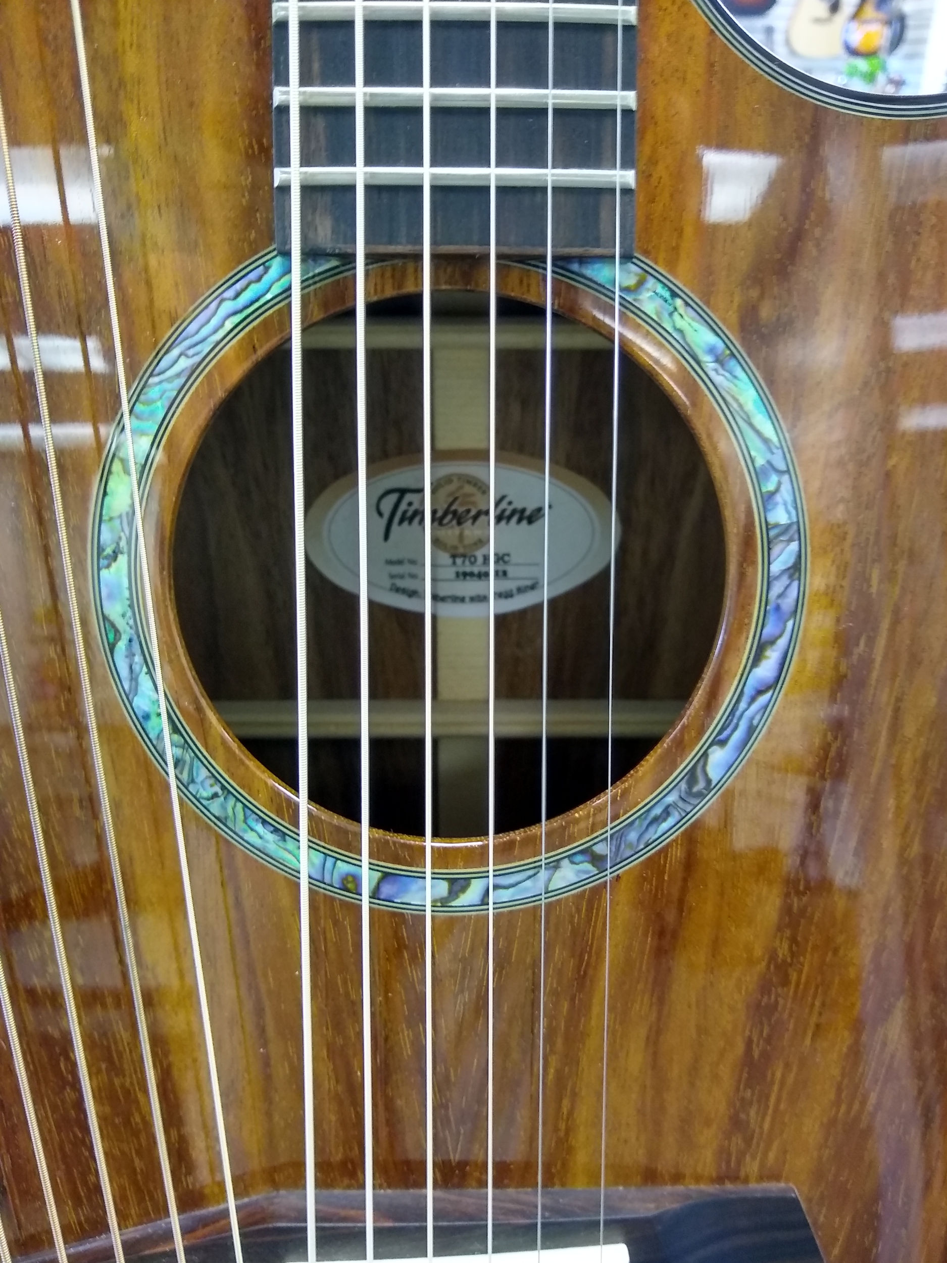 Timberline T70HGC Harp Guitar