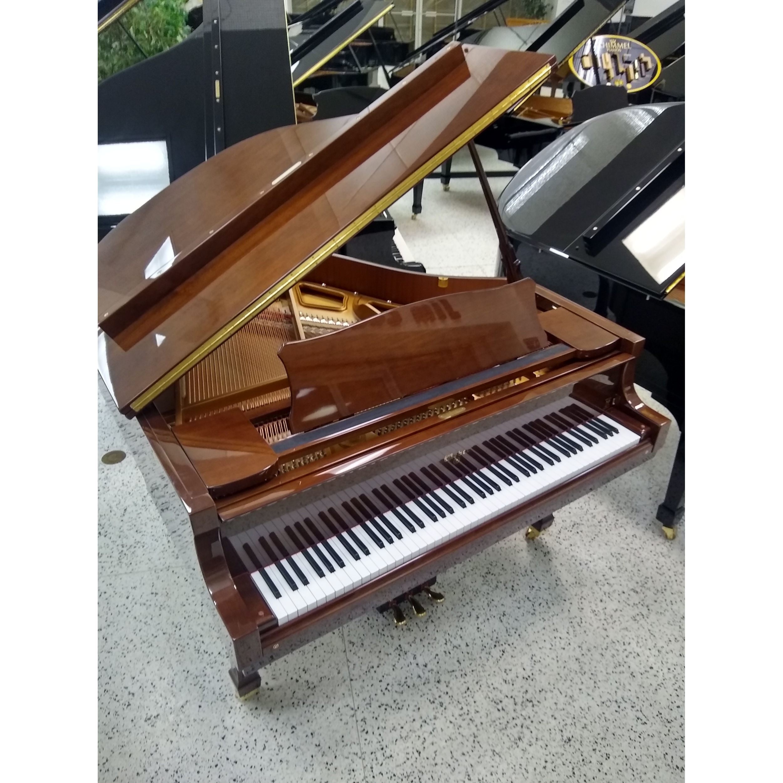 Weber Grand Piano 5'1 Special Edition