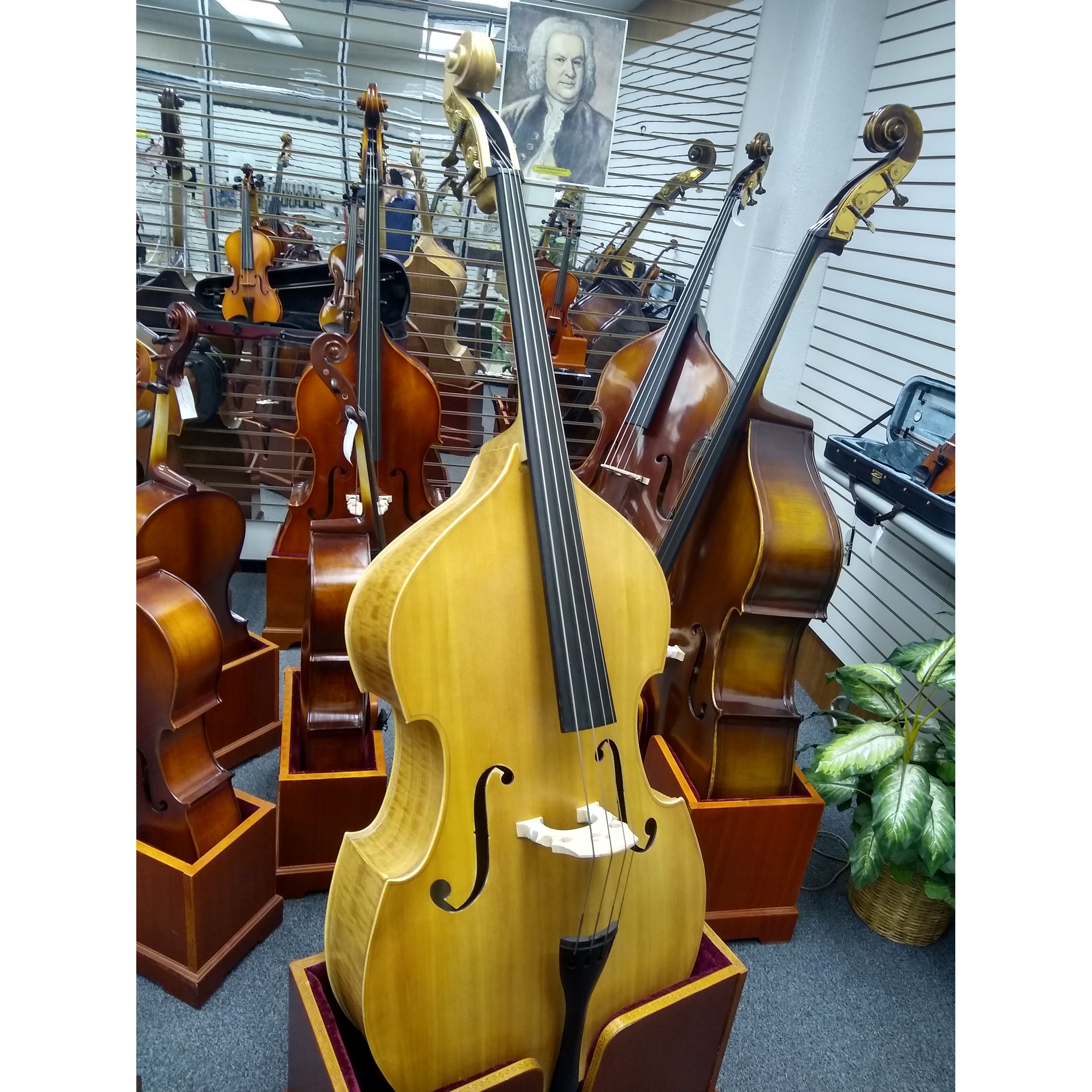 Vienna Strings Hamburg Gamba Ltd Edition 3/4 Bass
