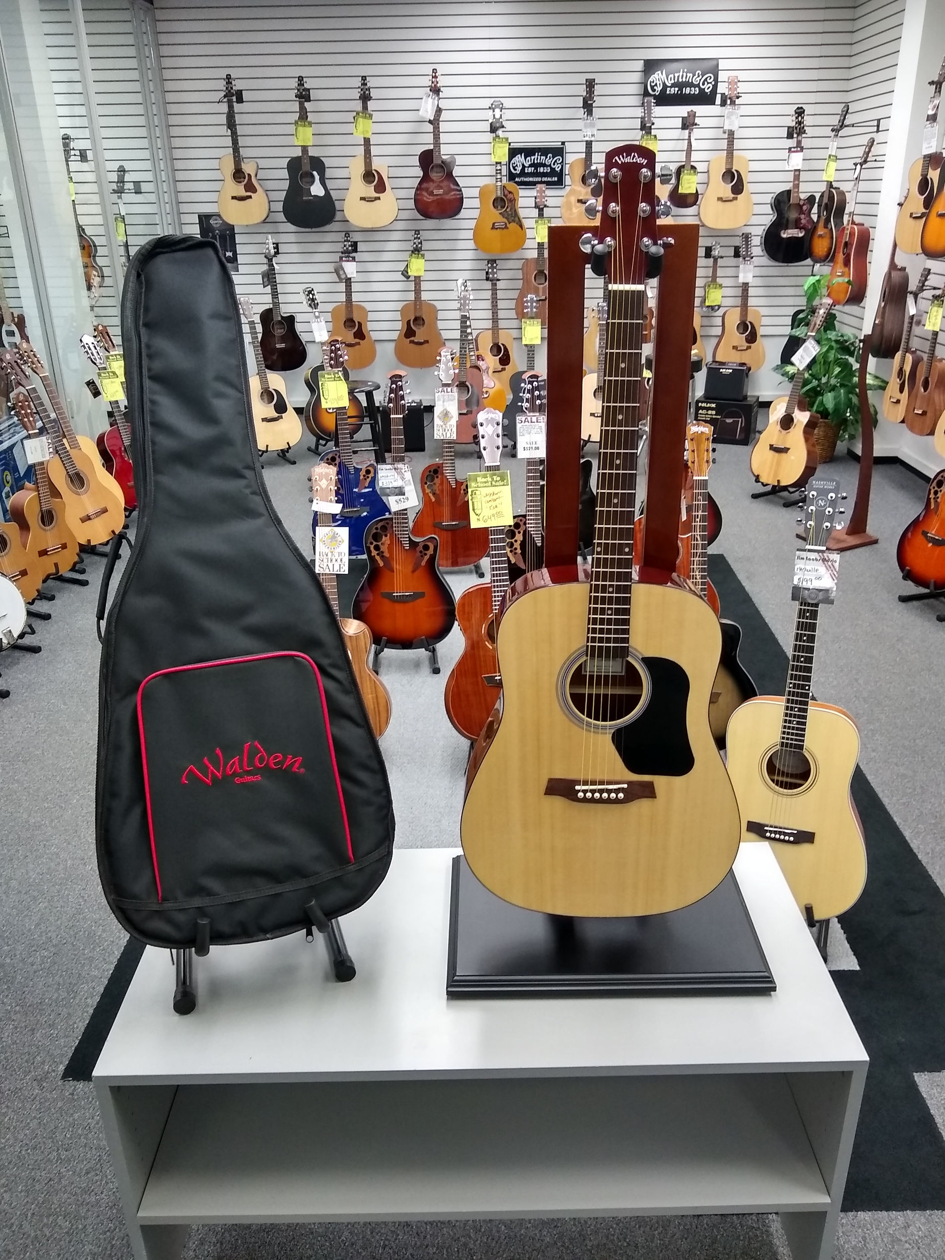 Walden D350 Acoustic Guitar W/Bag